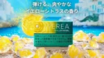 日版 IQOS TEREA STELLAR PEARL柑橘爆珠煙彈:圖片 2